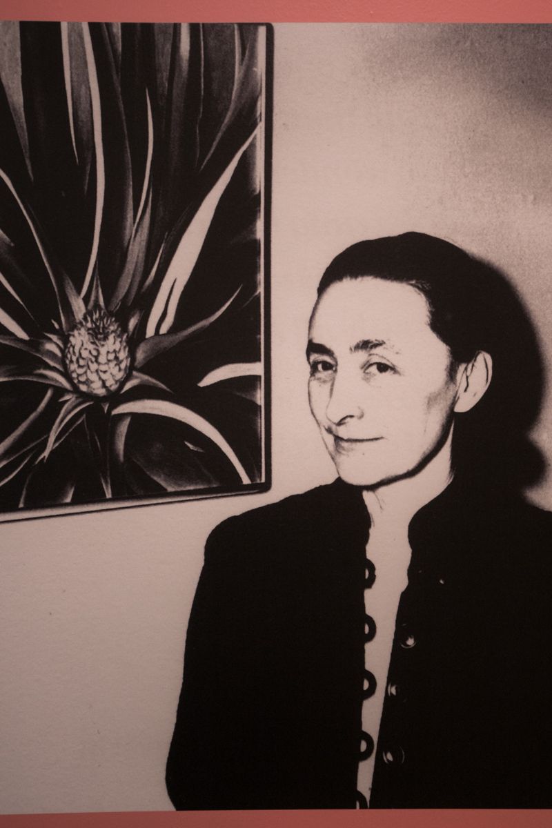 A portrait of O'Keeffe<br>